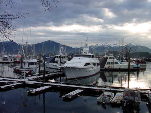 Sitka Harbor in Jan. by Gigi Pilcher©