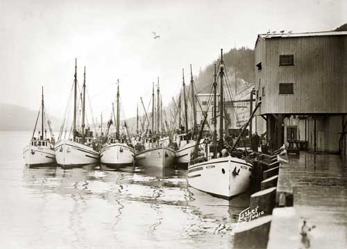 Ketchikan Cold Storage photo