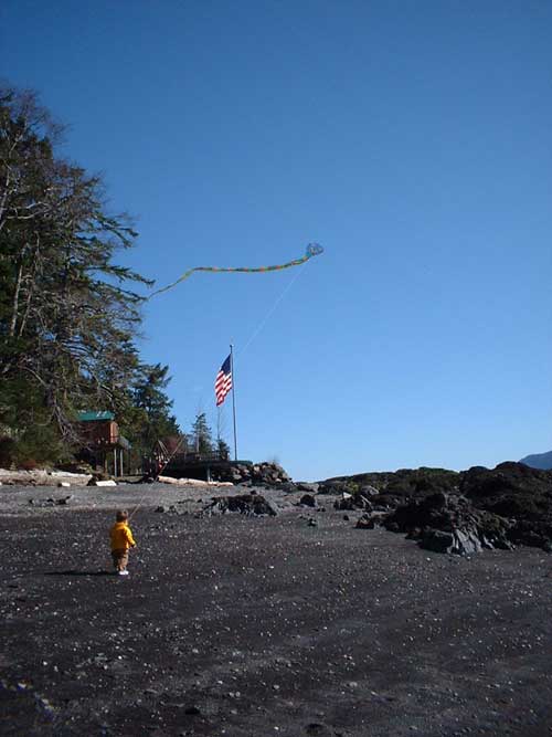 'Kite Flying Day' by David Martin